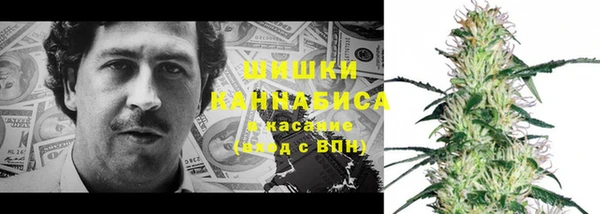 дмт Вяземский