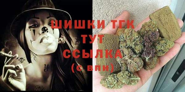 PSILOCYBIN Шали