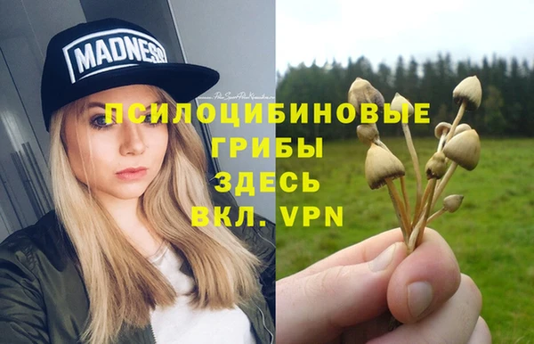 дмт Вяземский