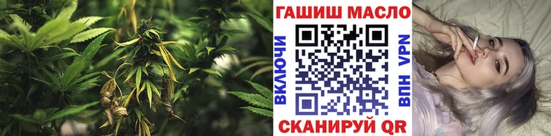 ТГК THC oil  купить  сайты  Новоаннинский 