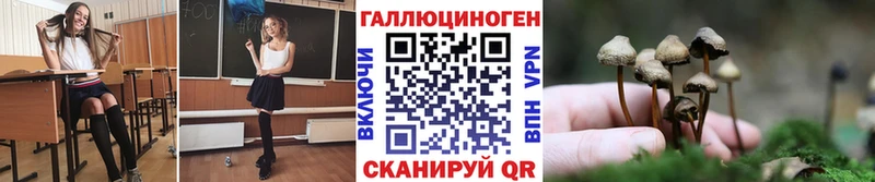 Псилоцибиновые грибы прущие грибы  Новоаннинский 